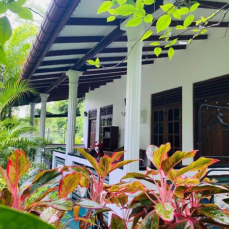 The Jungle Path Lodge Sigiriya Exterior photo