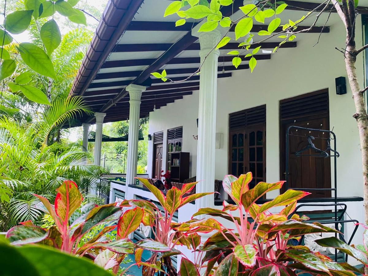 The Jungle Path Lodge Sigiriya Exterior photo