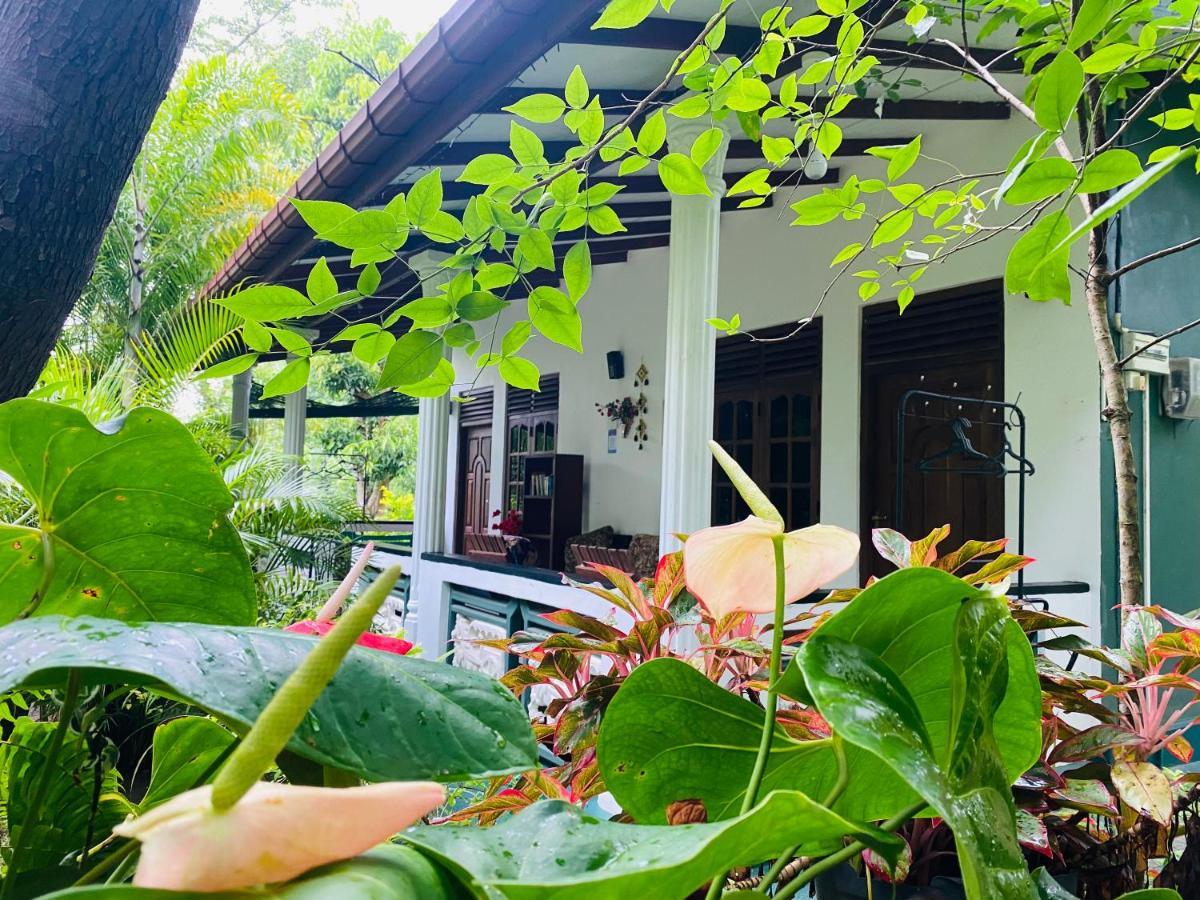 The Jungle Path Lodge Sigiriya Exterior photo
